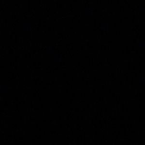 Meet your Posher, Monique